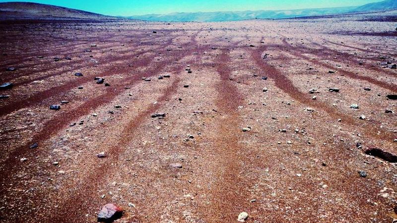 Los geoglifos milenarios dañados por vehículos están ubicados en el Cerro Tentación.