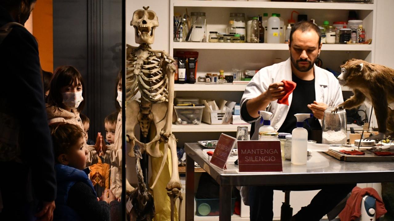 Actividad del Día de los Patrimonios en el Museo Nacional de Historia Natural