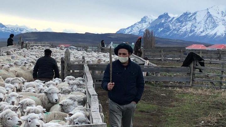 Torres del Paine