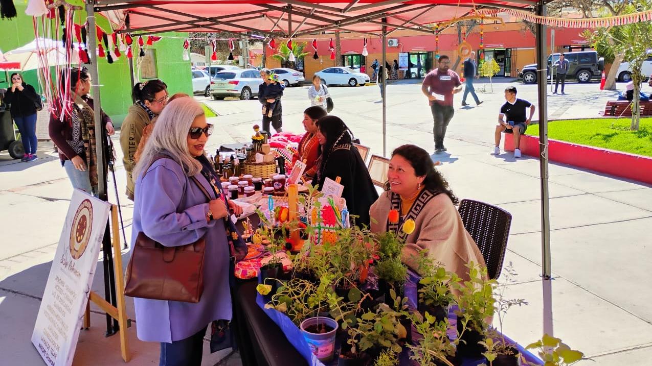 Feria pueblo diaguita en Copiapó