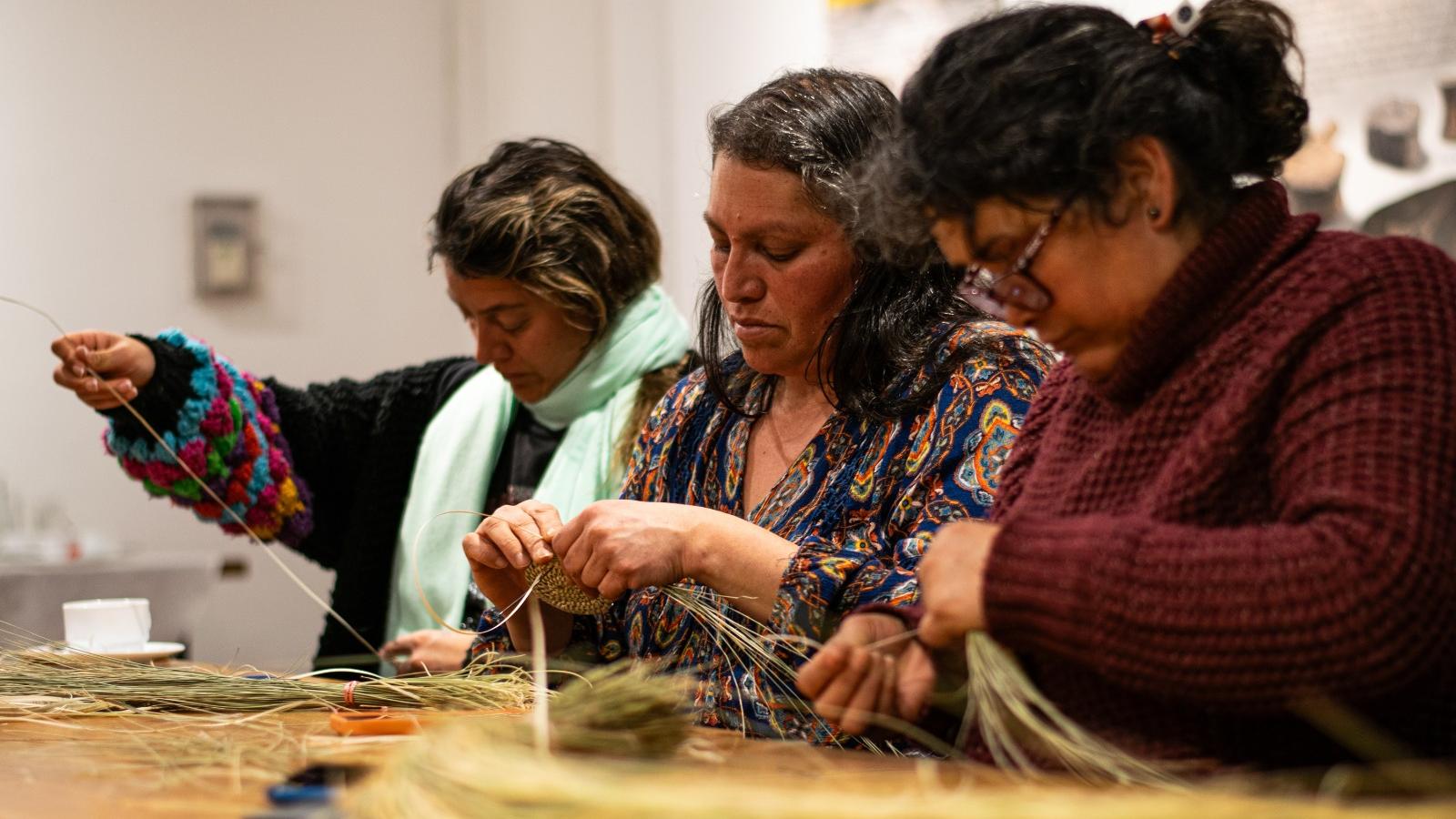 Talleres de cestería en coirón y chupón generan gran interés en la región 