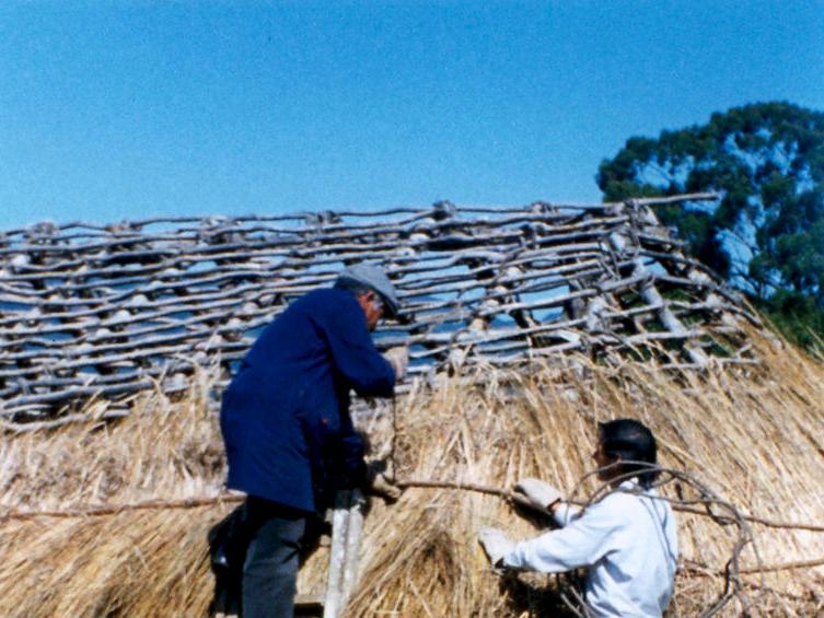 Covering the outside of the structure with straw