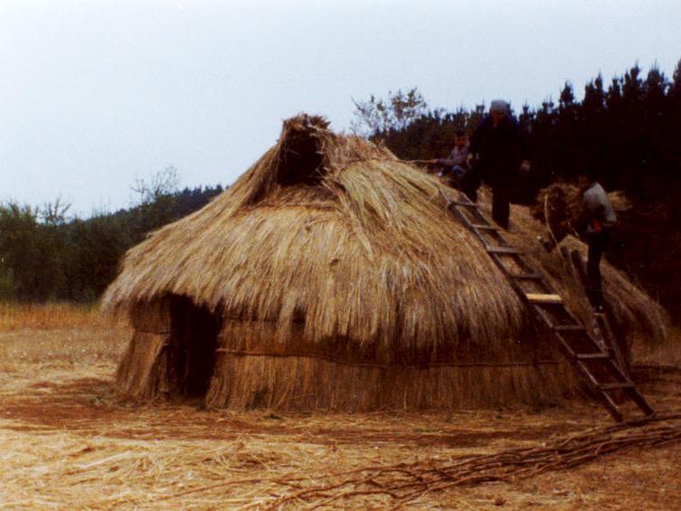 Thatching the roof