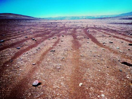Los geoglifos milenarios dañados por vehículos están ubicados en el Cerro Tentación.