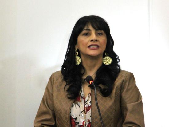 Claudia Opazo, directora Regional Metropolitana del Sernam.