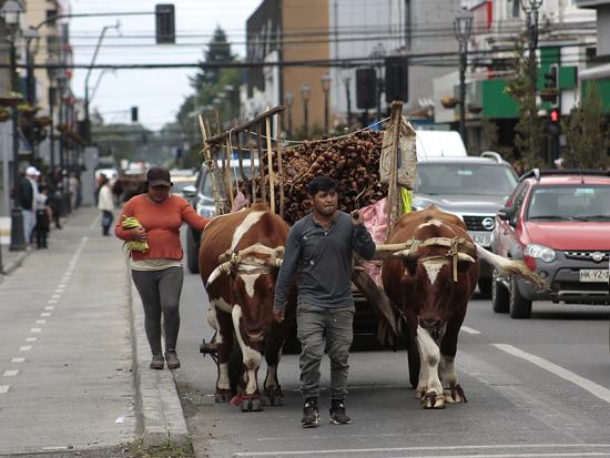 Gerson Meñaco y caminando por calle Prat en la ciudad de Temuco. Créditos fotografías Ruta: Juan César Astudillo