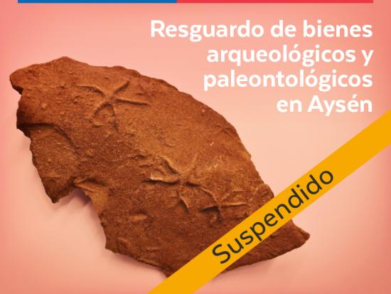 Trazas de descanso de Ophiuroidea y Asteroidea (Ofiuras y estrellas de mar), Cretácico Inferior. Colección Icnología Museo Regional de Aysén.
