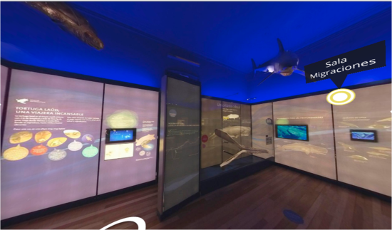 Vista del recorrido virtual en el Museo de Historia Natural de Valparaíso.