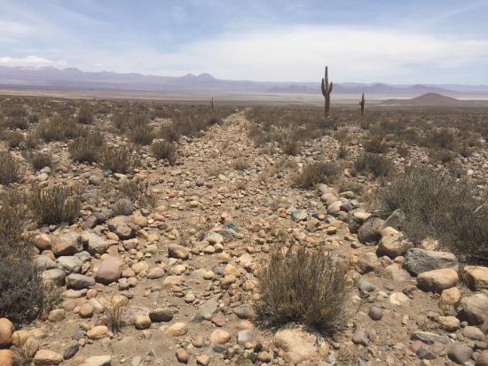 Qhapaq Ñan, Sistema Vial Andino en Chile, conocido también como “el camino del Inca”. En la fotografía, camino en la Región de Antofagasta. 