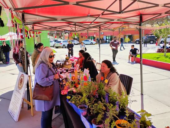 Feria pueblo diaguita en Copiapó