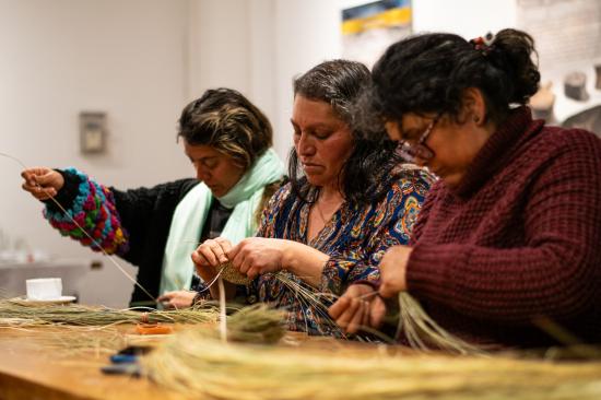 Talleres de cestería en coirón y chupón generan gran interés en la región 