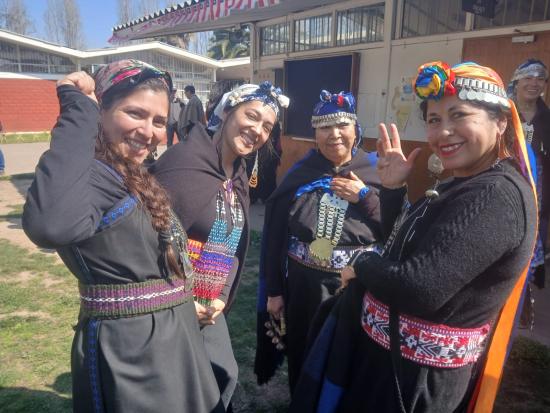 mujeres mapuches