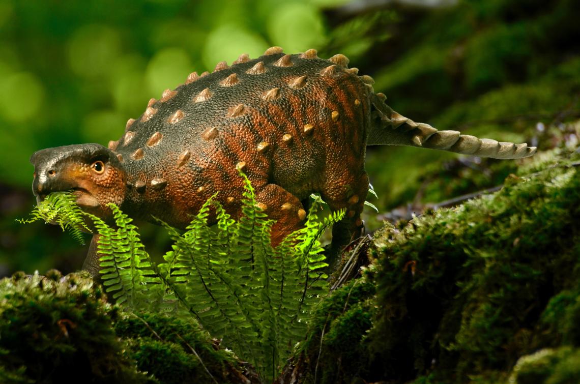 Reconstrucción artística de Stegouros elengassen